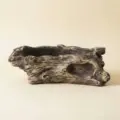 Pointed 1-Hole