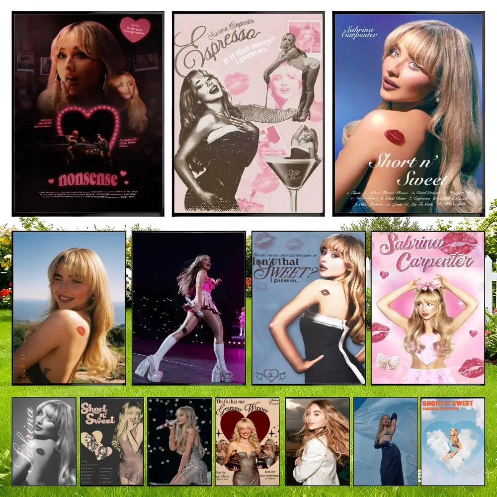 Sabrina Carpenter Room Makeover Premium Quality No Drilling Art Tear Resistant Tool Free Poster