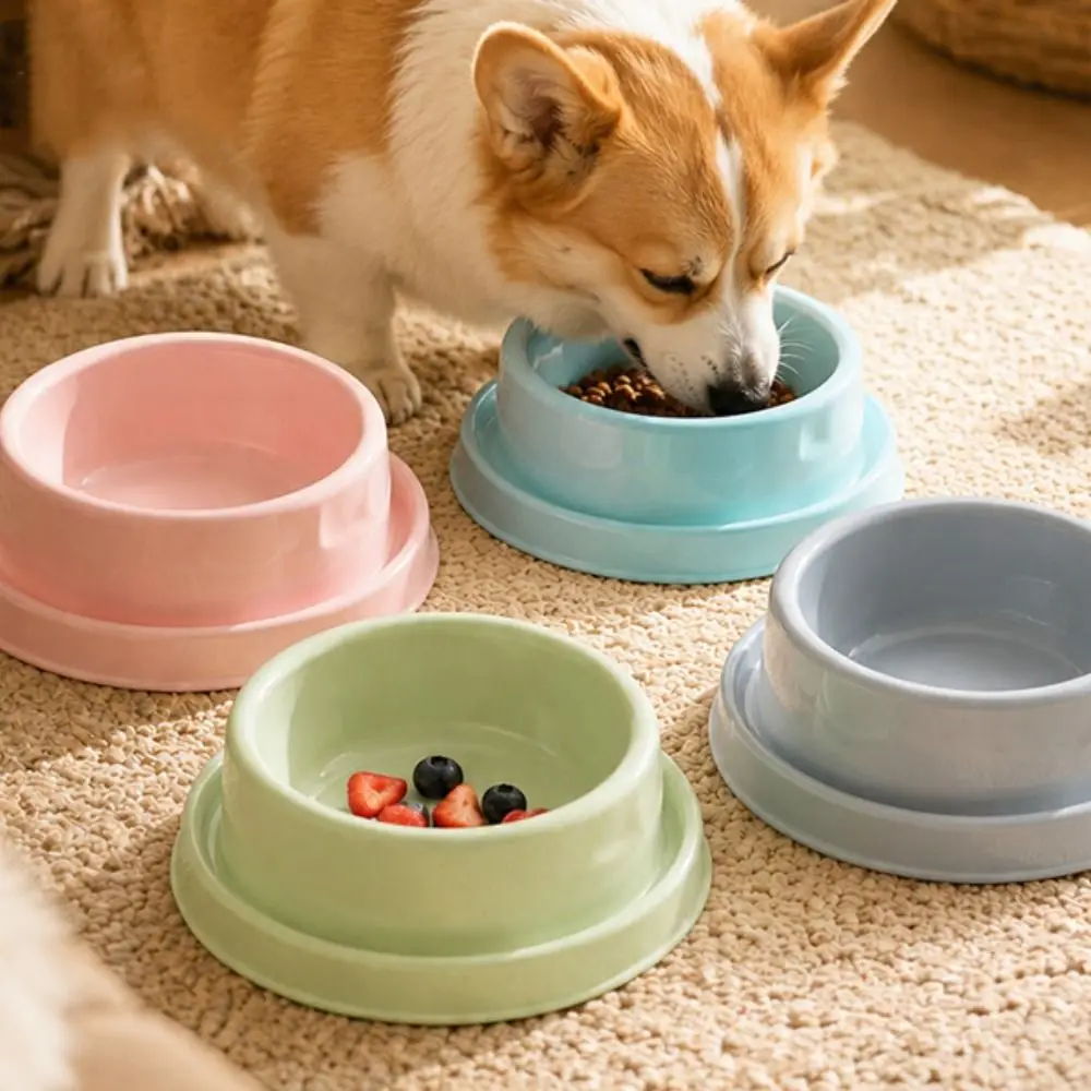 Kunststoff-Anti-Ameisen-Futternapf, runde Form, Wasserkanal, erhöhter Hundefutternapf, BPA-frei, auslaufsicheres Design, auslaufsicherer Futternapf für Katzen – Detail 10