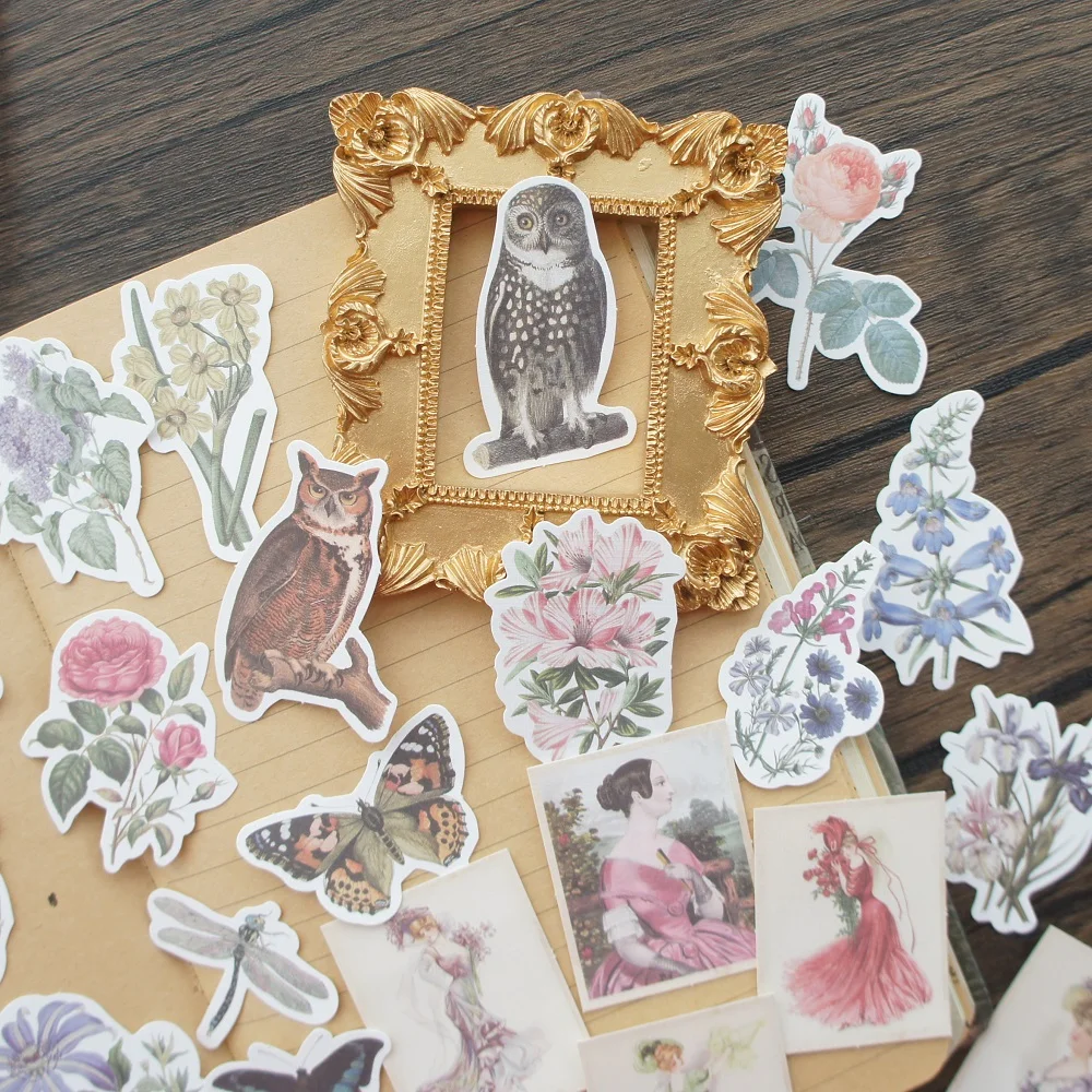 

50pcs Baroness Owl and Her Garden Style Creative Craft Paper Background Scrapbooking DIY Use