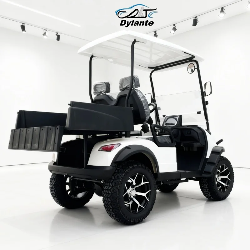 

2 места, новый двигатель 5000 Вт, электрическая охотничья багги, 72 В, литиевая клубная машина для взрослых, уличная легальная электрическая тележка для гольфа с задним грузовым ящиком