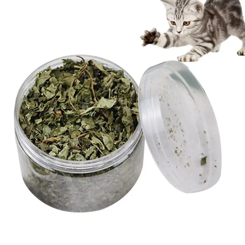 Cat Toy Organic Catnip 100 High-quality Natural Cat Grass Leaf Single Cans Interesting Cat Toy Interactive Snacks Natural