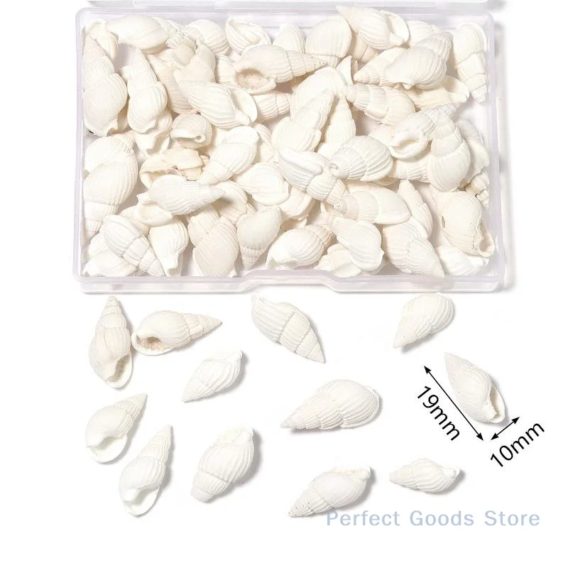1 Box Sea Shells Spiral Shell Tiny Ocean Spiral Seashells Crafts Aquarium Decor Landscaping Accessories