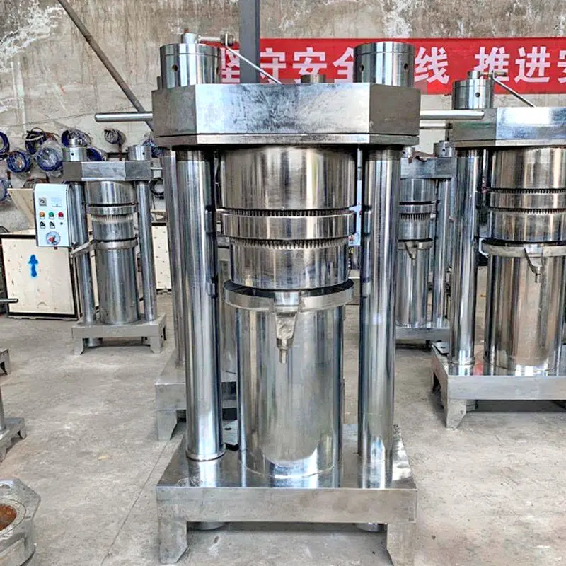 Red Palm Pine Nut Okra Seed Oil Press Machine Peanut Oil Press Line Exaction Machine Production Cold Press Oil Machine Hydraulic