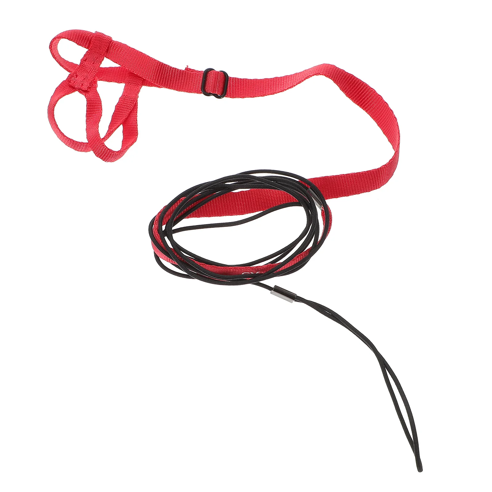 Pet Bird Parrot Harness Leash Adjustable Outdoor Walking Gear Size Xs Random Color Strong Material for Daily Use