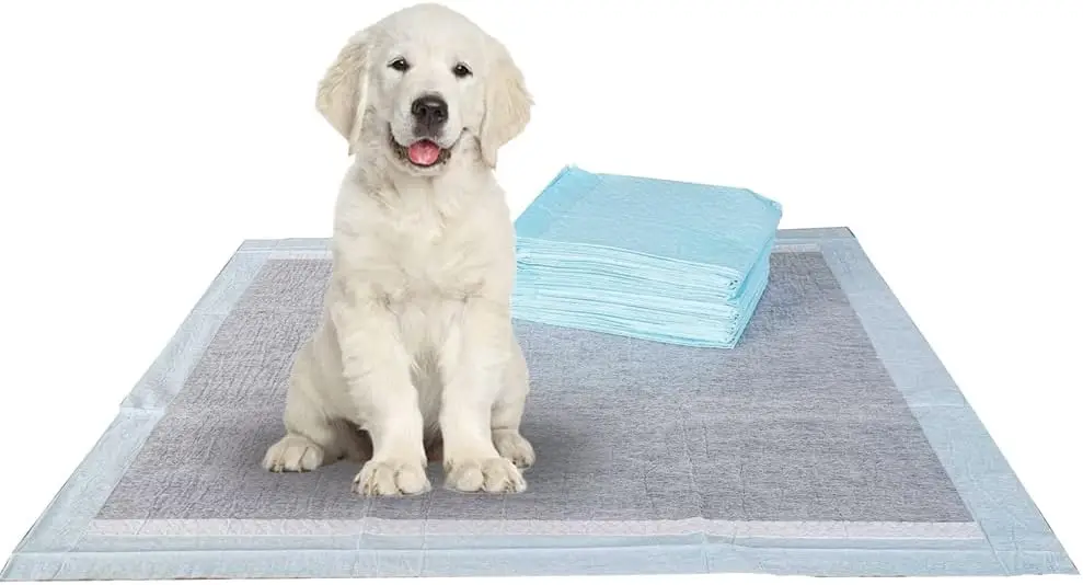 

Charcoal Puppy Pads XL 320 Count 34"x28" - Leak-Proof Pee Pads for Dogs with 6-Layer Absorbent Design & Built-in Attractant - Do