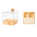 Orange With Box