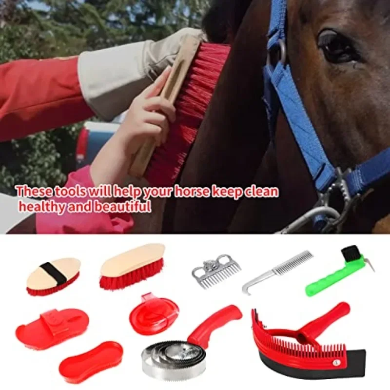 New Horse Grooming Tool Set Cleaning Kit Comb Pet Cleaning Brush Stainless Steel Curry Groomer Tail Comb Kit Scrubber