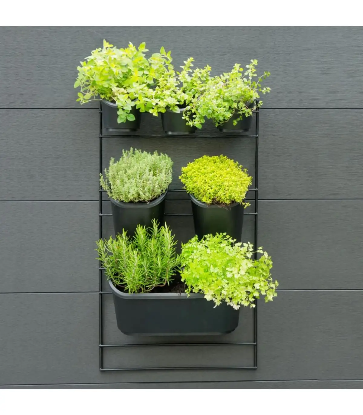 Vertical Garden garden wall planters and planters Kit