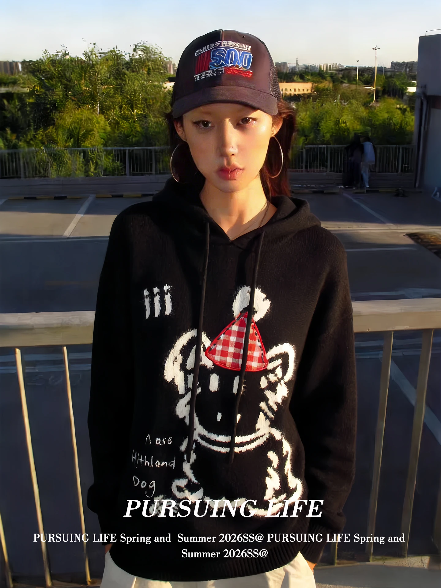 

American Lazy Style Women's Knitted Sweater Spring Cartoon Dog Embroidery Hooded Oversize Design Casual Long Sleeve Top