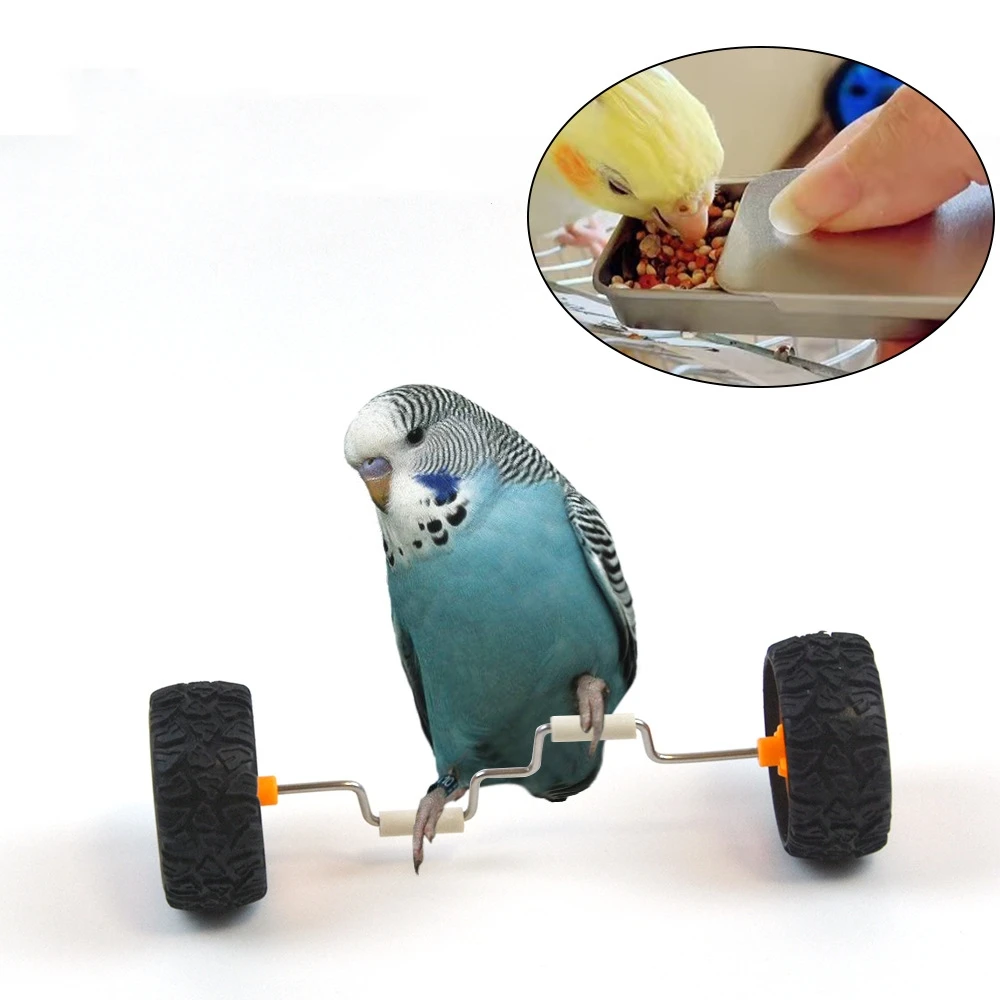 Parrot Training Balancing Bike Toy Interactive Row Roller Bird Cage Toy Cockatiels Training Birds Cage Sports Supplies