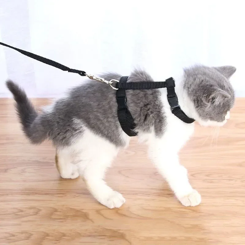 Conjunto de arnés y correa para gatos, ligero y ajustable, Collar con correa para gatitos a prueba de Escape para caminar, viajar, animales pequeños, arnés para cachorros