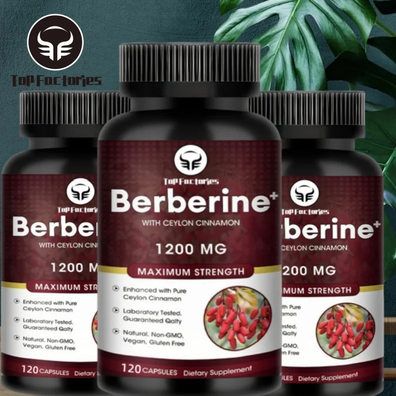 

Top Factories Berberine Capsules 1200mg Natural Vegan Supplement Supports Heart Immune System Liver Digestion Weight Loss