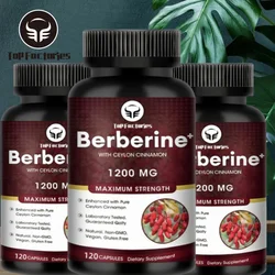 Top Factories Berberine Capsules 1200mg Natural Vegan Supplement Supports Heart Immune System Liver Digestion Weight Loss