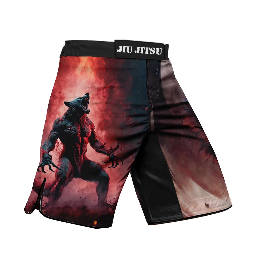 Men's Printed MMA Shorts, Kickboxing & Boxing Training Trunks for Fitness Gym - Mixed Martial Arts & Jiu-Jitsu Fight Wear
