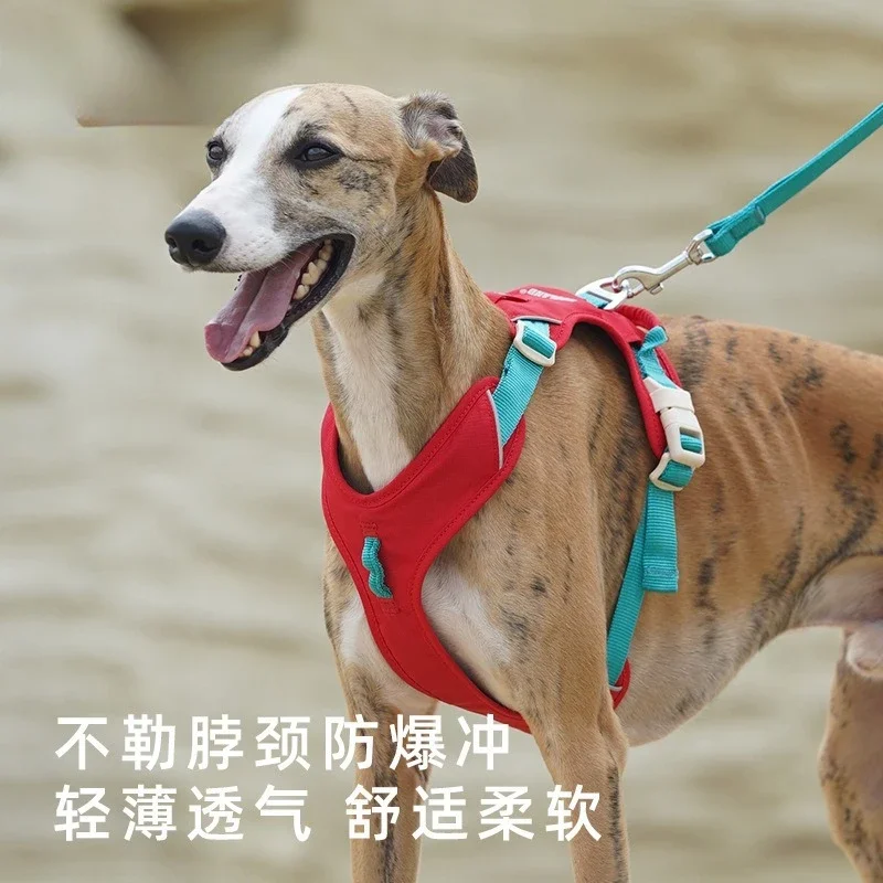 Dog chest and back traction rope Small medium and large dog walking dog I-shaped special pet chain that does not restrain the