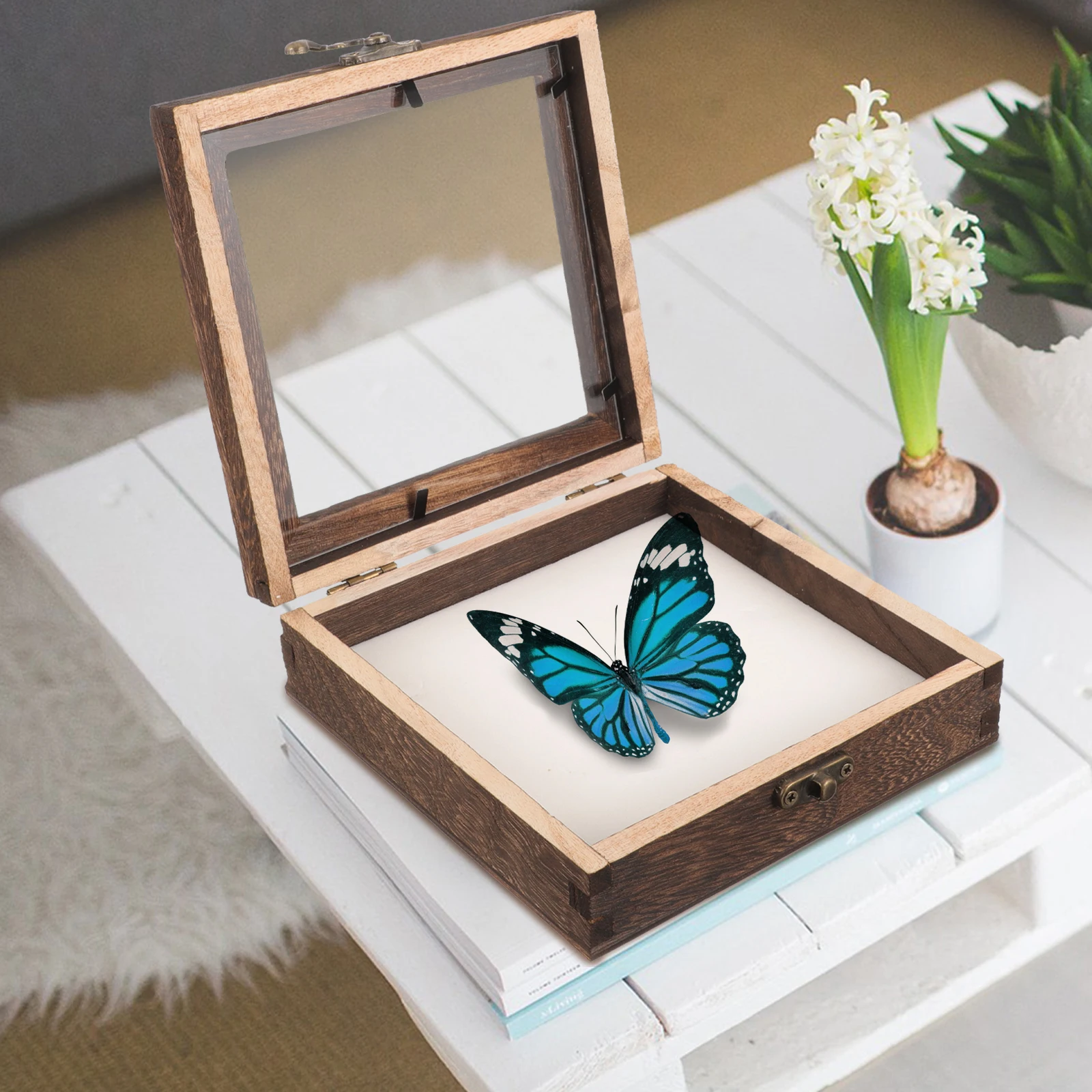 

Wooden Specimen Display Box 15x15x4.5cm Insect Butterfly Case Retro Style Clear Lid Storage Container for Collection