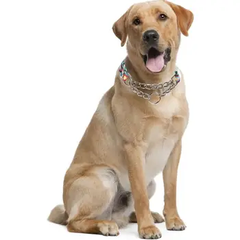 6 best sales ステンレス製の犬用首輪 - №5