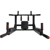 Multifunctional Wall Mounted Pull up bar Dip Station Chin up bar