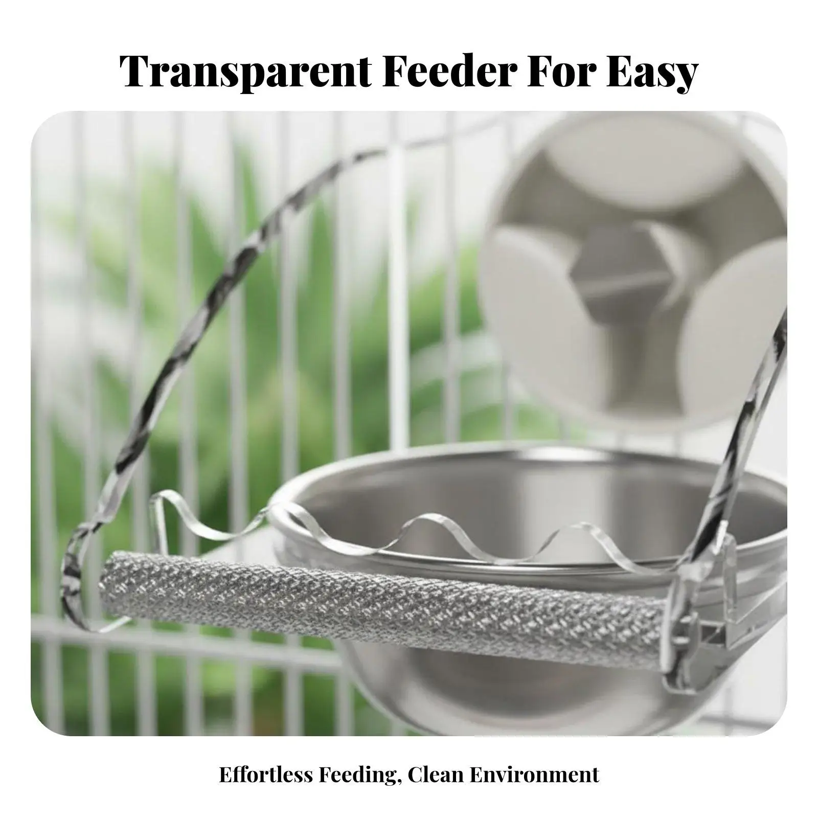 Parrot Feeding Dish with Spatter Guard Clear Construction Birds Food and Water