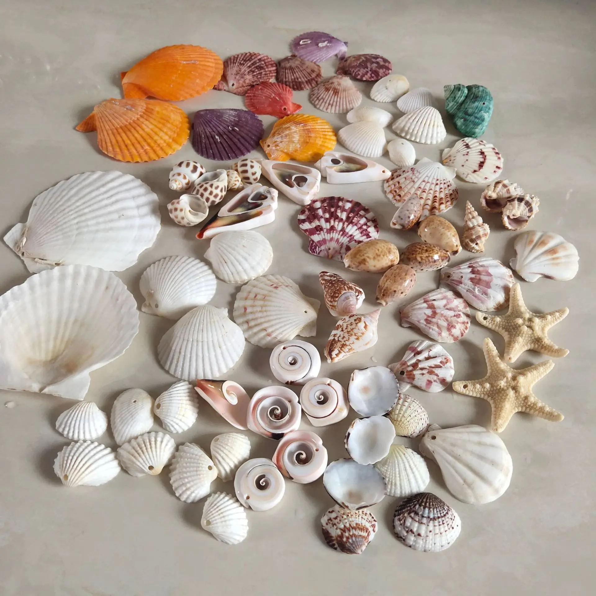 Consumibles hechos a mano de concha natural, producto perforado, concha perforada, color blanco, estrella de mar festoneada
