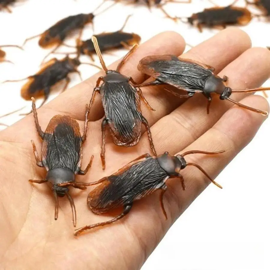 Creative Scary Fake Cockroach Toys 10Pcs Realistic Simulation Insect Prank Tools Creative Ornaments For Party Horror Decor