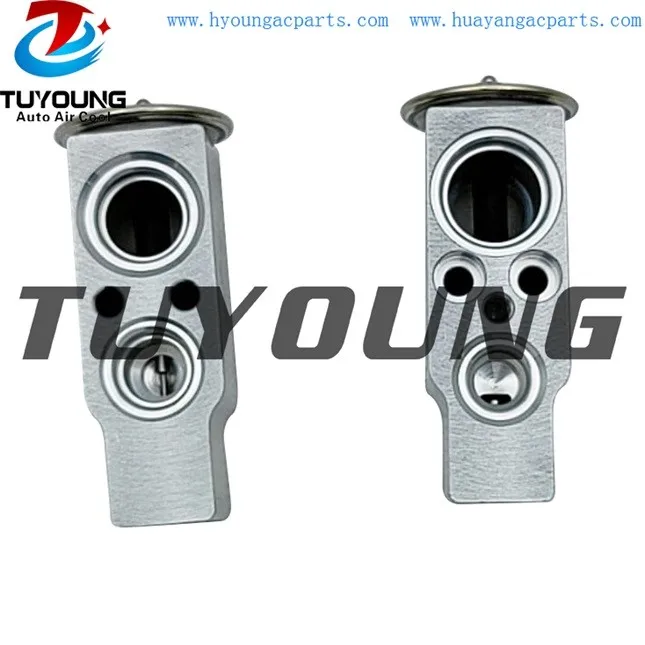 TUYOUNG brand new Auto AC Expansion Valve for  valve block 1618057 90512364 China factory produce