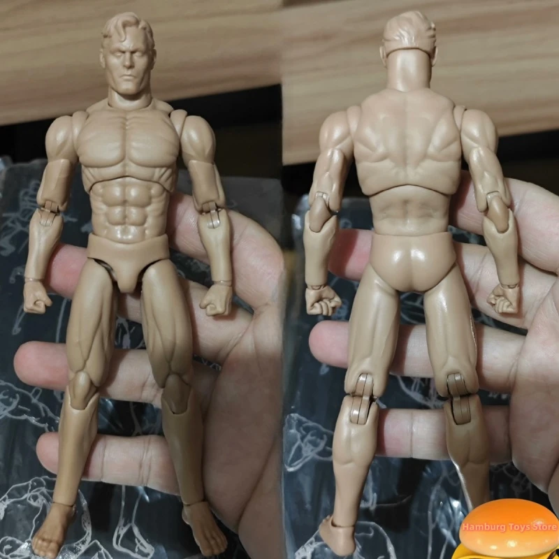 Nwtoys NW002 масштаб 1/12 мужской солдат мускул супер гибкий подвижный полушарковый корпус 6,5-дюймовая фигурка куклы