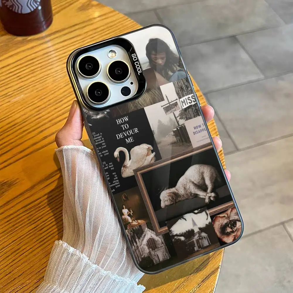 Singer E-Ethel C-Cain Funda de teléfono para iPhone 16,15,14,13,12,17,Pro,MAX Funda negra mate a prueba de golpes