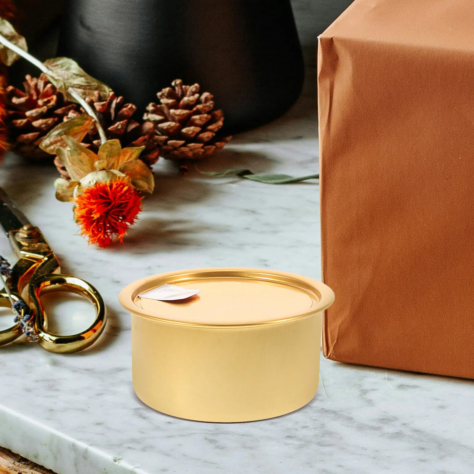 

12pcs Aluminum Cans Large Pet Food Tins Empty Storage Golden Cookie Snack Holiday Tin Boxes 100ml Bright Color Cat Dog Bulk