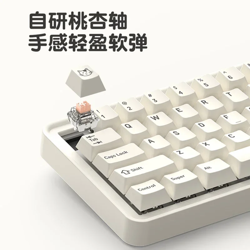 ATA-Kit de clavier mécanique sans fil M65 Suspend Business Theme, Leic-Mode, joint RVB, échange à chaud, clavier de jeu de bureau, 67 prédire