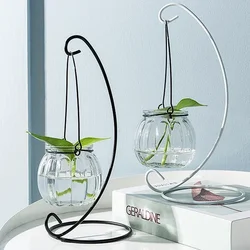 Vase à plantes hydroponiques transparent, ornements créatifs, bouteille fraîche, décoration d'intérieur et de maison