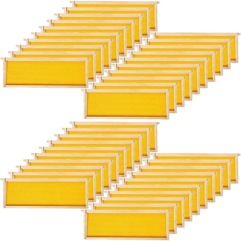 

40-Pack Beehive Bee Frames Waxed Foundation with Complete Unassembled Commercial Frames, 6-1/4-Inch (Yellow)