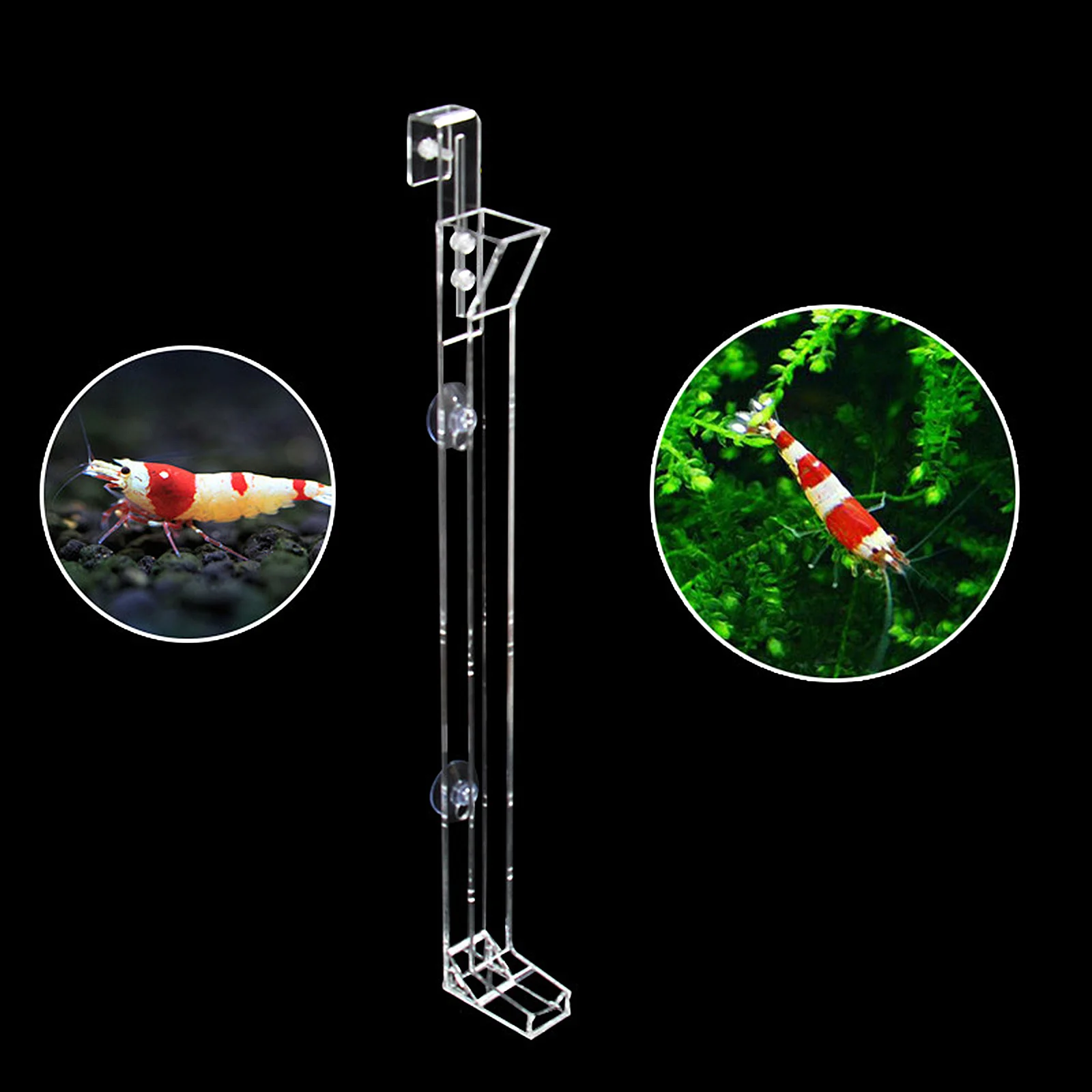 

Acrylic Shrimp Feeder Tube Transparent Aquarium Feeding Tool for Coral Fish Guppies Brine Shrimps Multi-Functional with Scale