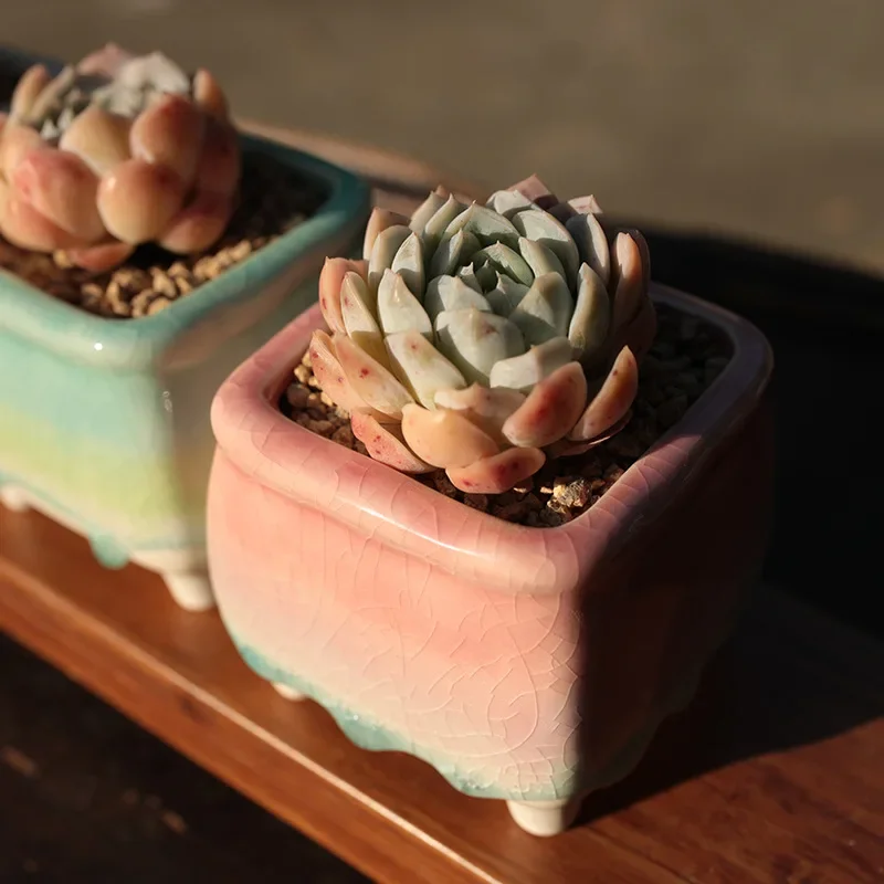 Ice Crack Flow Glaze Flowerpot Creative Fresh  Fleshy Plant Flowerpot Simple  Lovely Korean Style Home Decoration Crafts