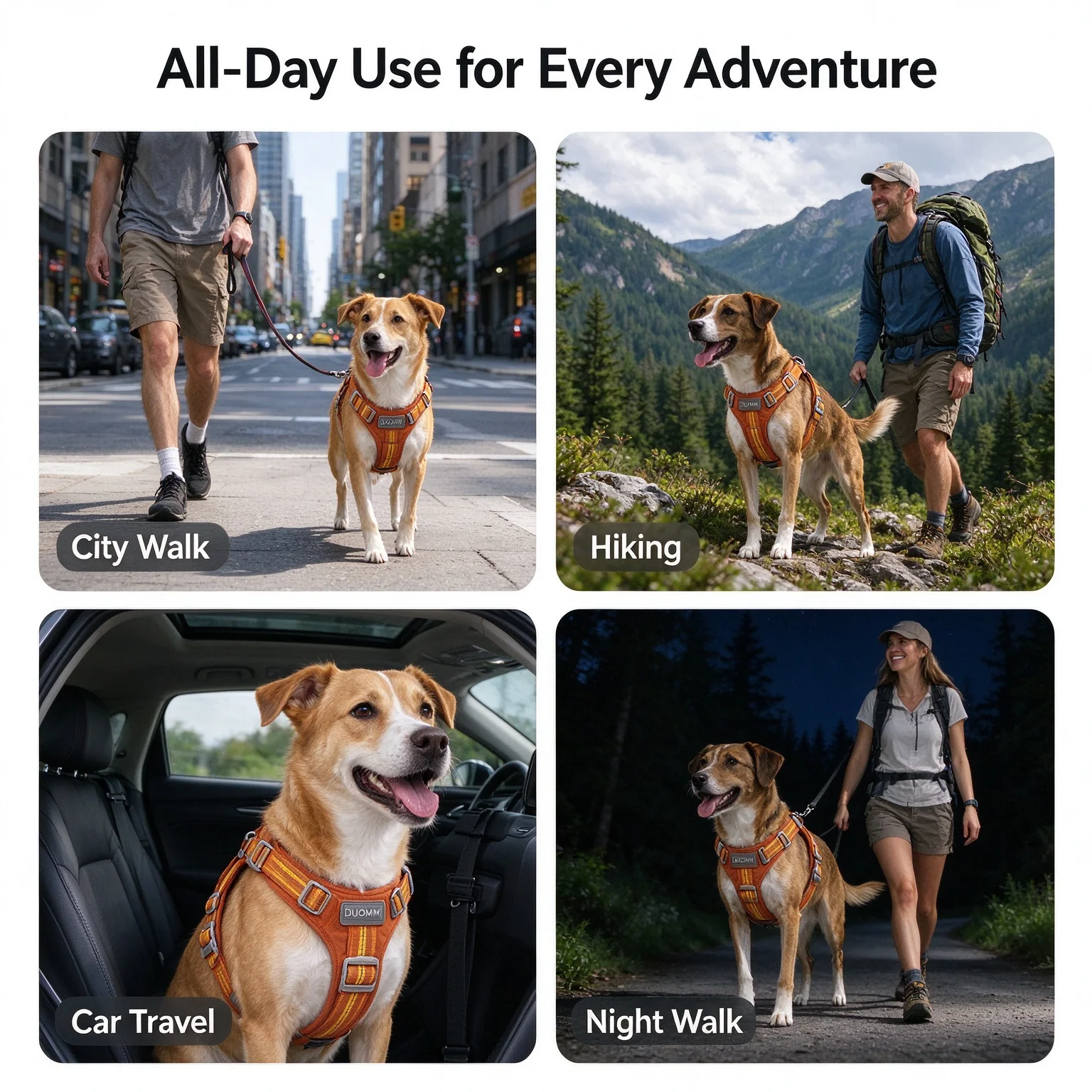 Thumbnail 2 - #58 Best Dog Car Safety Harnesses to Buy In 2026