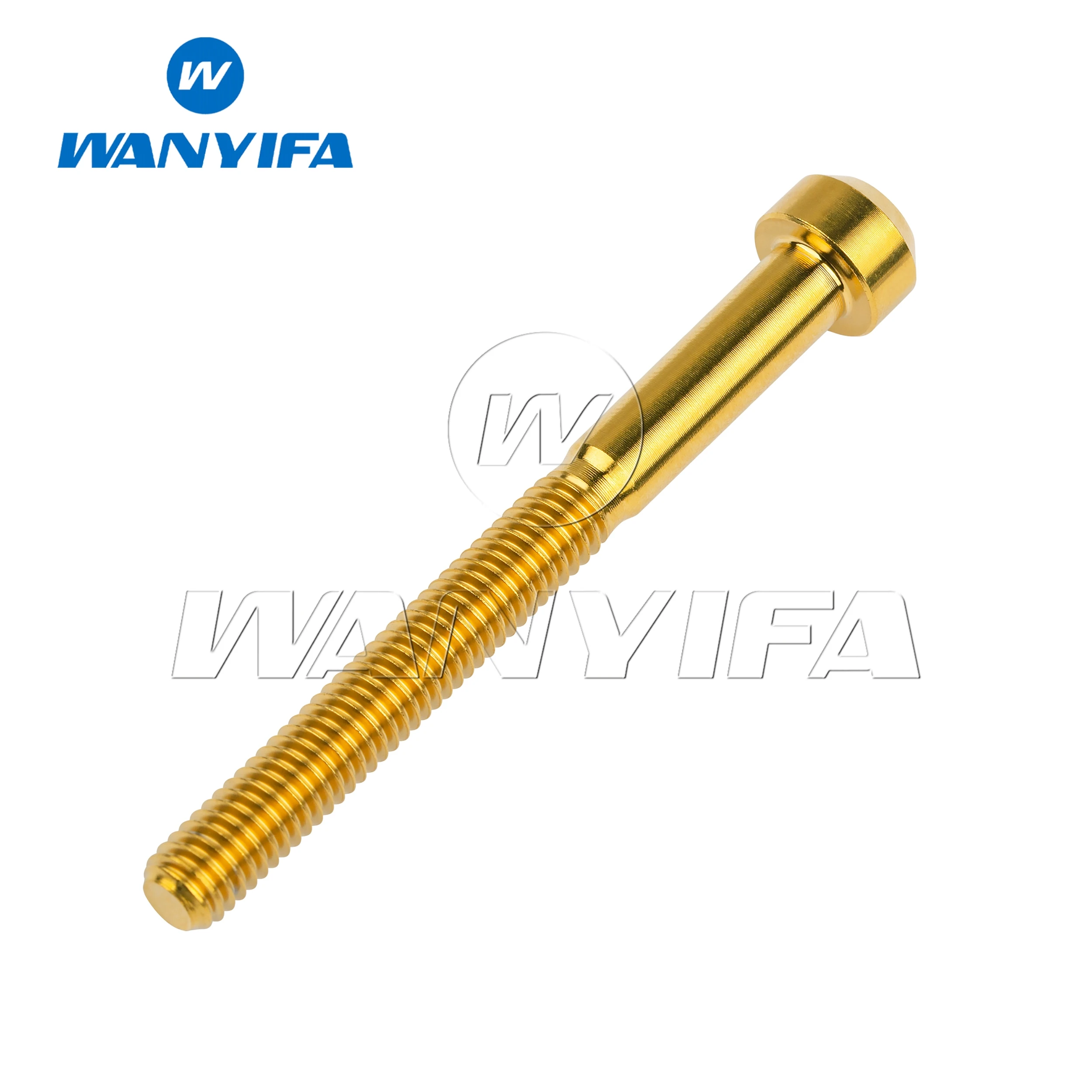Wanyifa Titanium Ti Bolts M5/M6x10- 80mm Torx Head Screws for Bicycle Motorcycle refit fasteners 12PCS