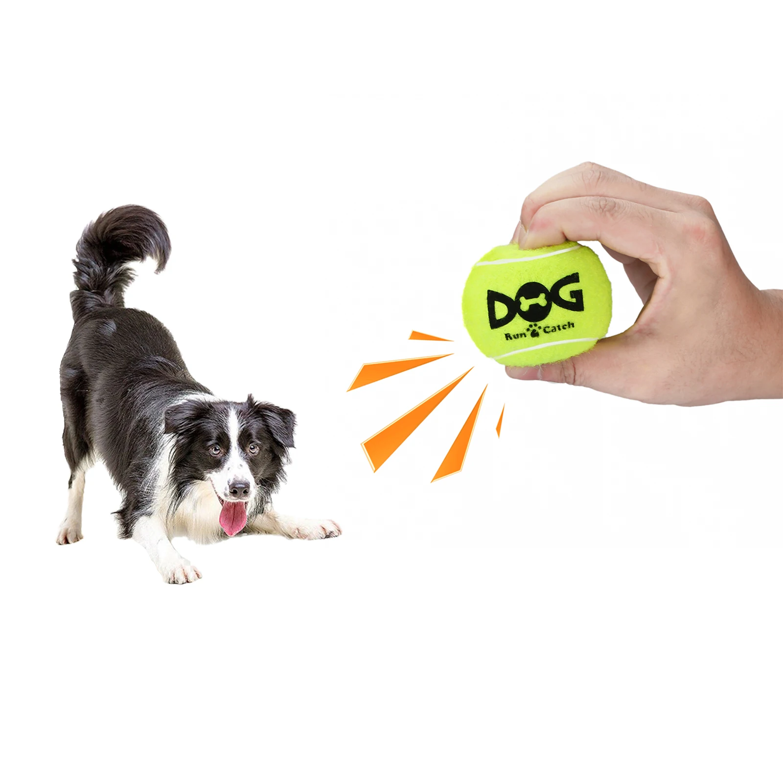 Fotografia 4: Bolas de Tênis para Cães - Pacote com 12 Bolas Interativas com Som para Treinamento, Exercício e Brincadeiras em Ambientes Internos e Externos - Bolas de Borracha para Cães de 2,5 polegadas
