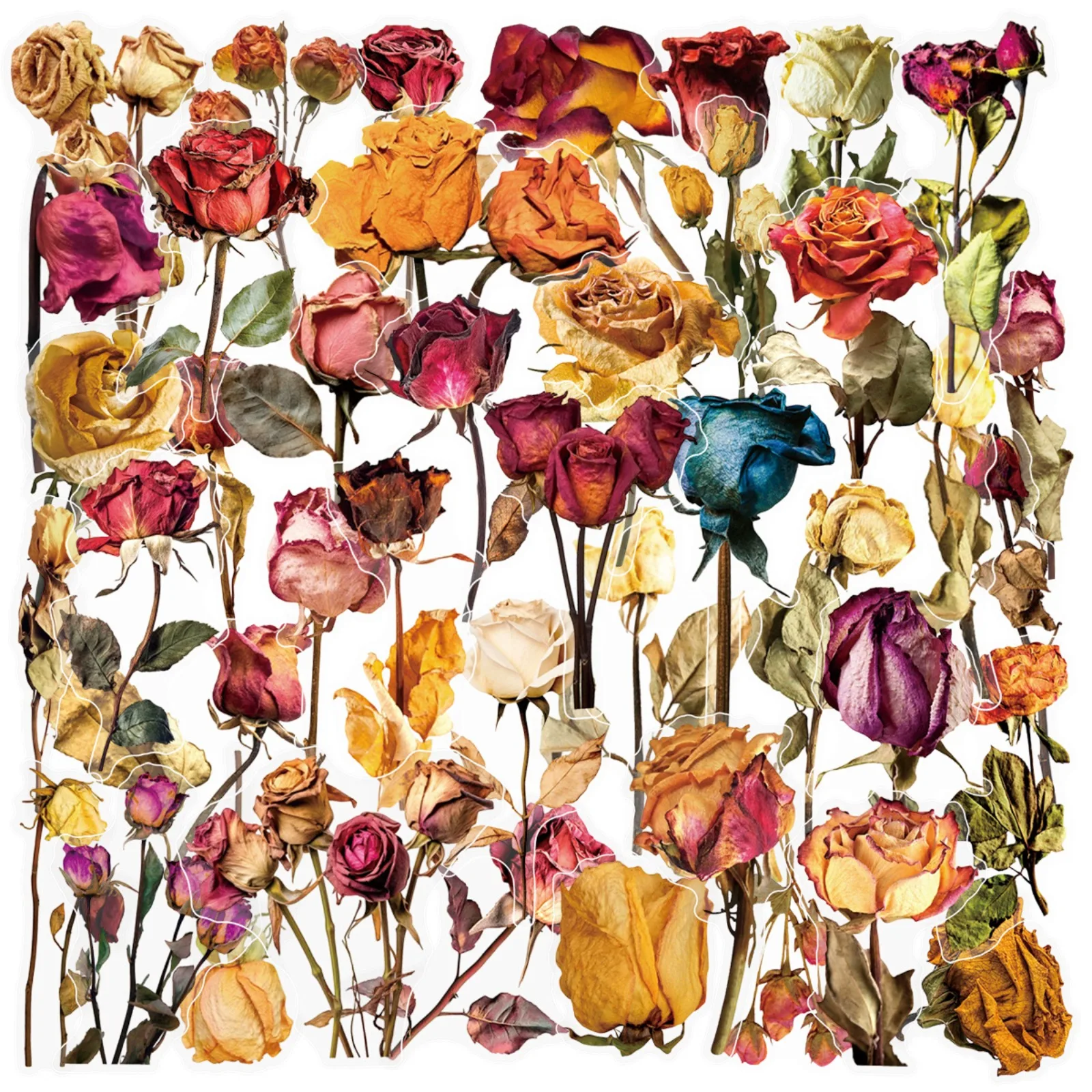 

10/25/50pcs Transparent Graffiti Dry Rose Flower Stickers Decals Aesthetic for DIY Scrapbooking Laptop Guitar Notebook Phone