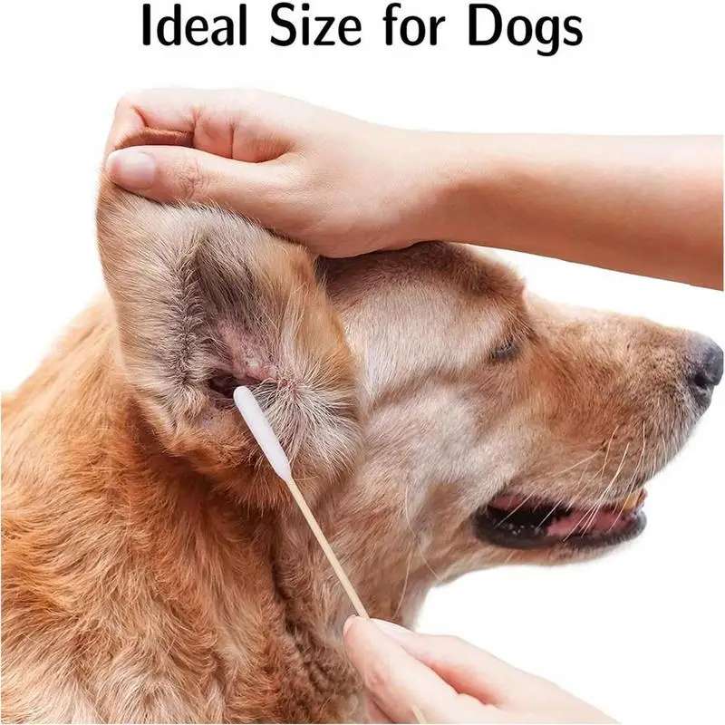 Dog Ear Cleaning Buds 100pcs/set Dog Ear Cleaning Tool Professional Dog Cotton Buds With Wood Handle Animal Ear Cleaner Apply