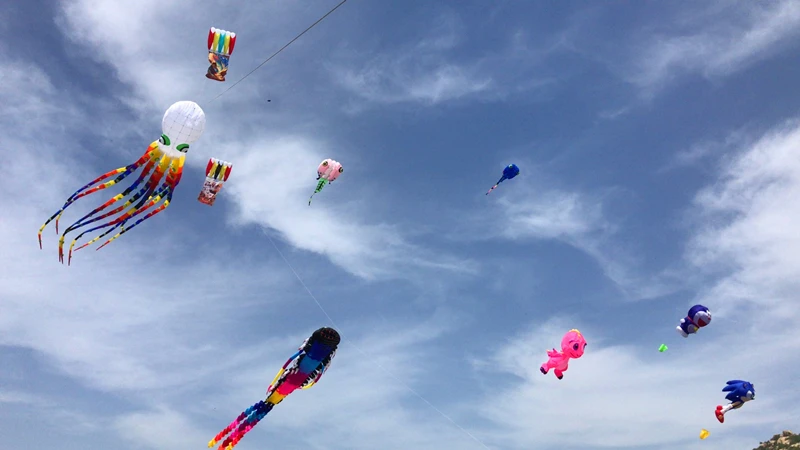 13m grandi aquiloni polpo per giocattoli volanti per adulti mulinello per aquiloni ripstop nylon kevlar cerf volant professionale parplan cerchio per aquiloni pipa