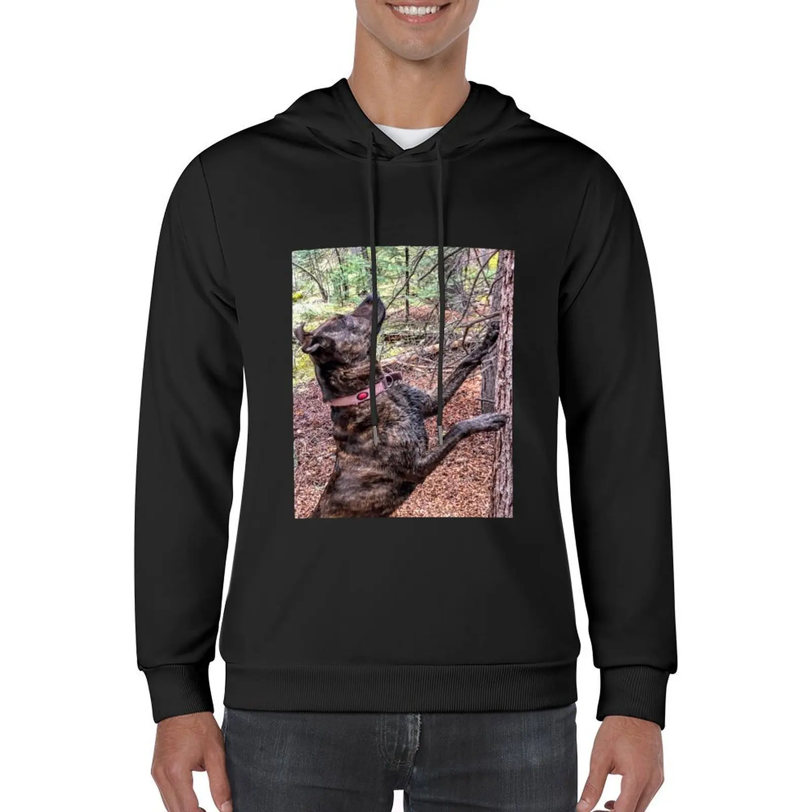 Squirrel Chasing Plott Hound Hoodie men's sweat-shirt autumn jacket men korean clothes men's coat graphic hoodies