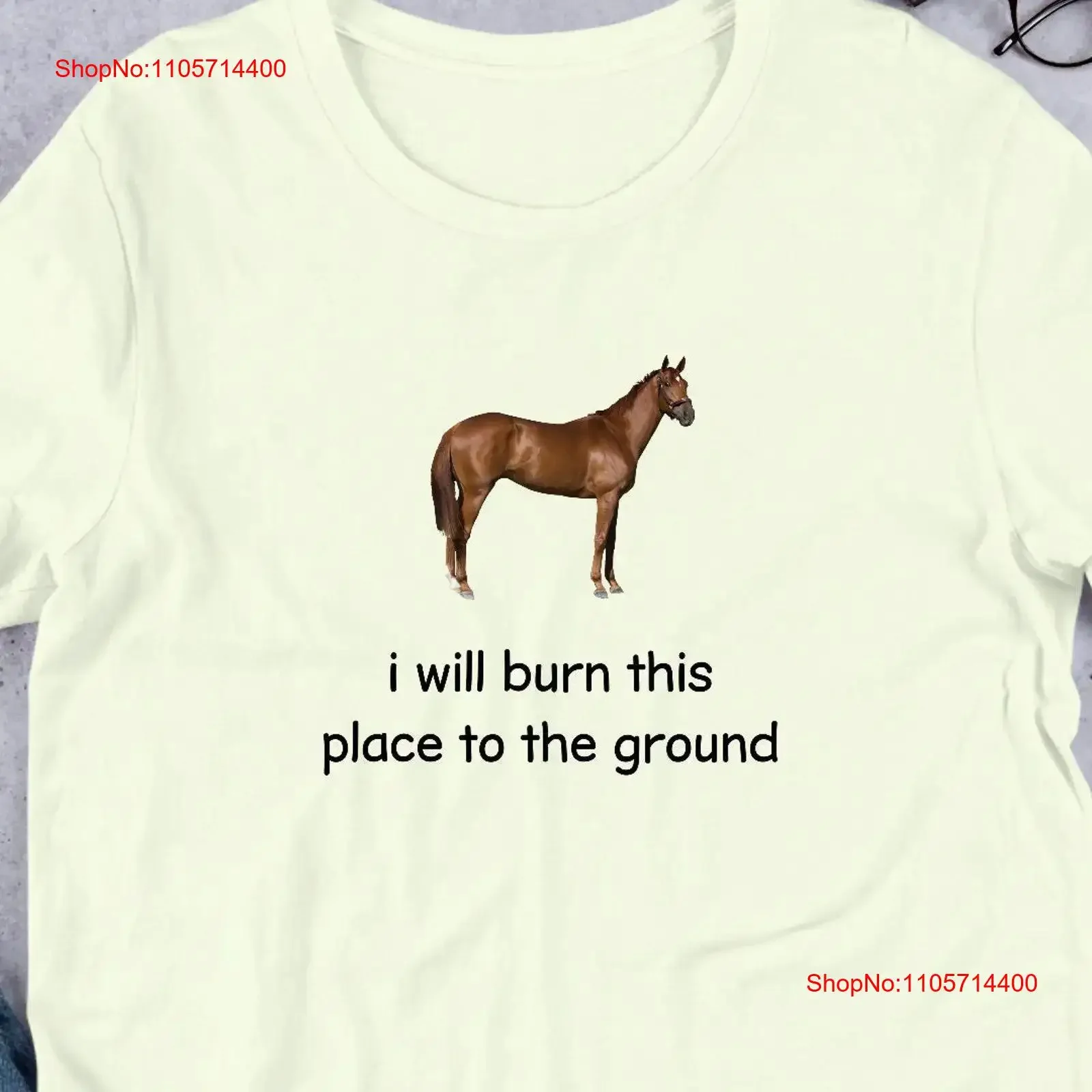 I Will Burn This Place To The Ground T Shirt Y2K Funny Meme Weirdcore Clothing Oddly Specific Unhinged Sassy vintage Washed