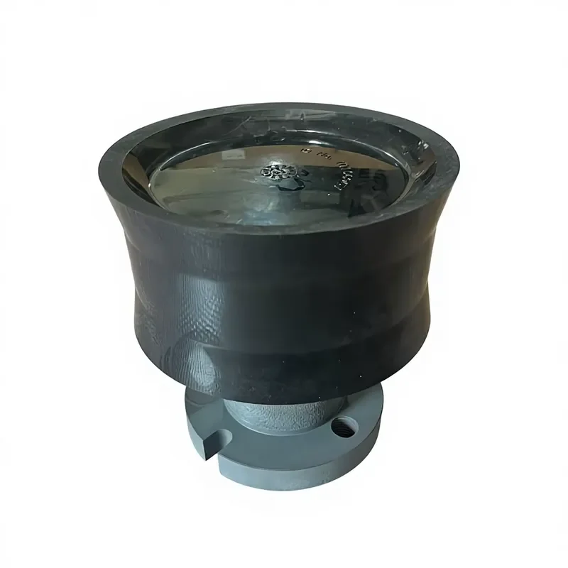 Complete Piston Ram Assembly with Steel Core DN180 10106967 for  KSP Sludge Pump
