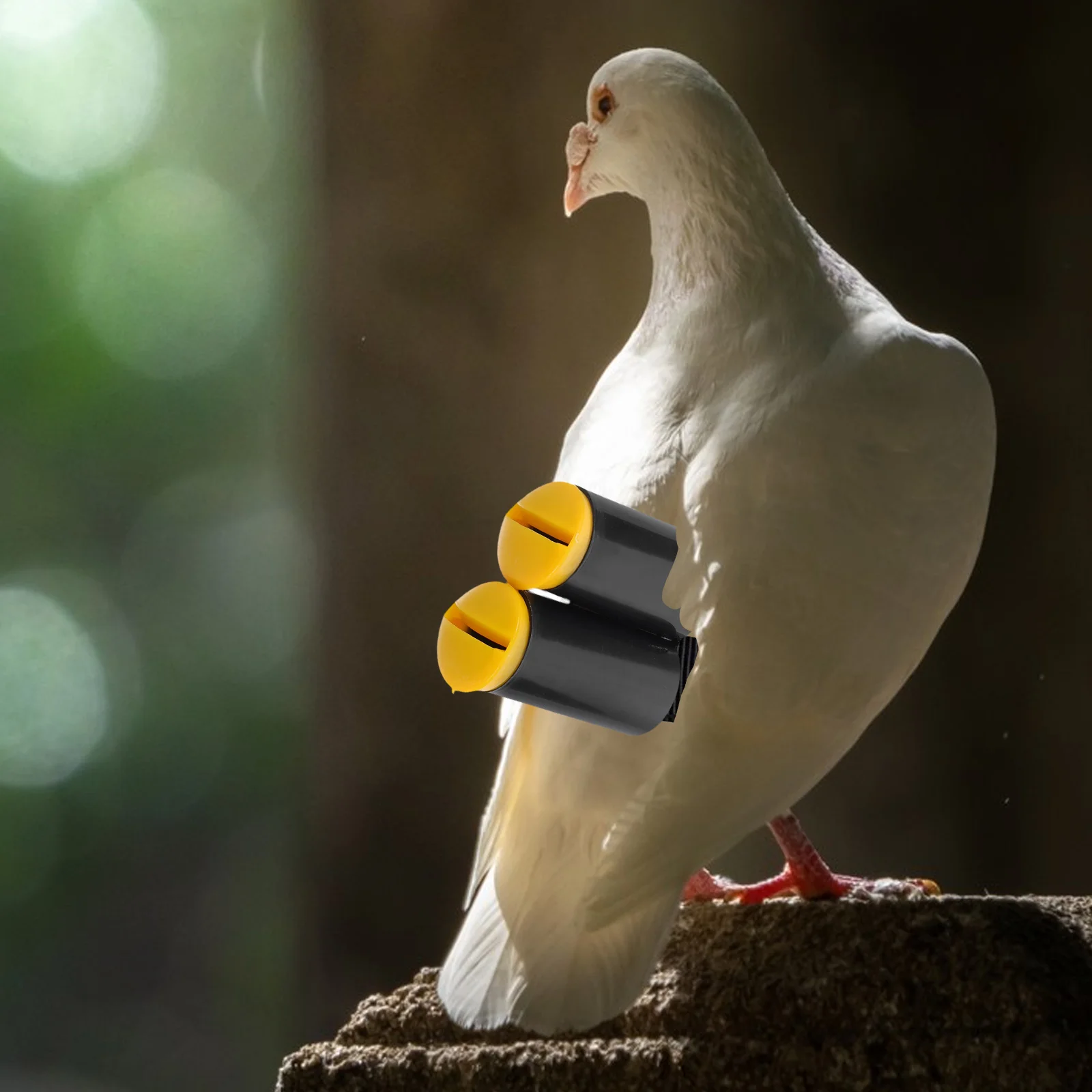 

Pigeon Whistle Plastic Tail Flight Wind whistle for Bird Cage Accessory Lightweight Portable Training Tool pigeon enthusiasts