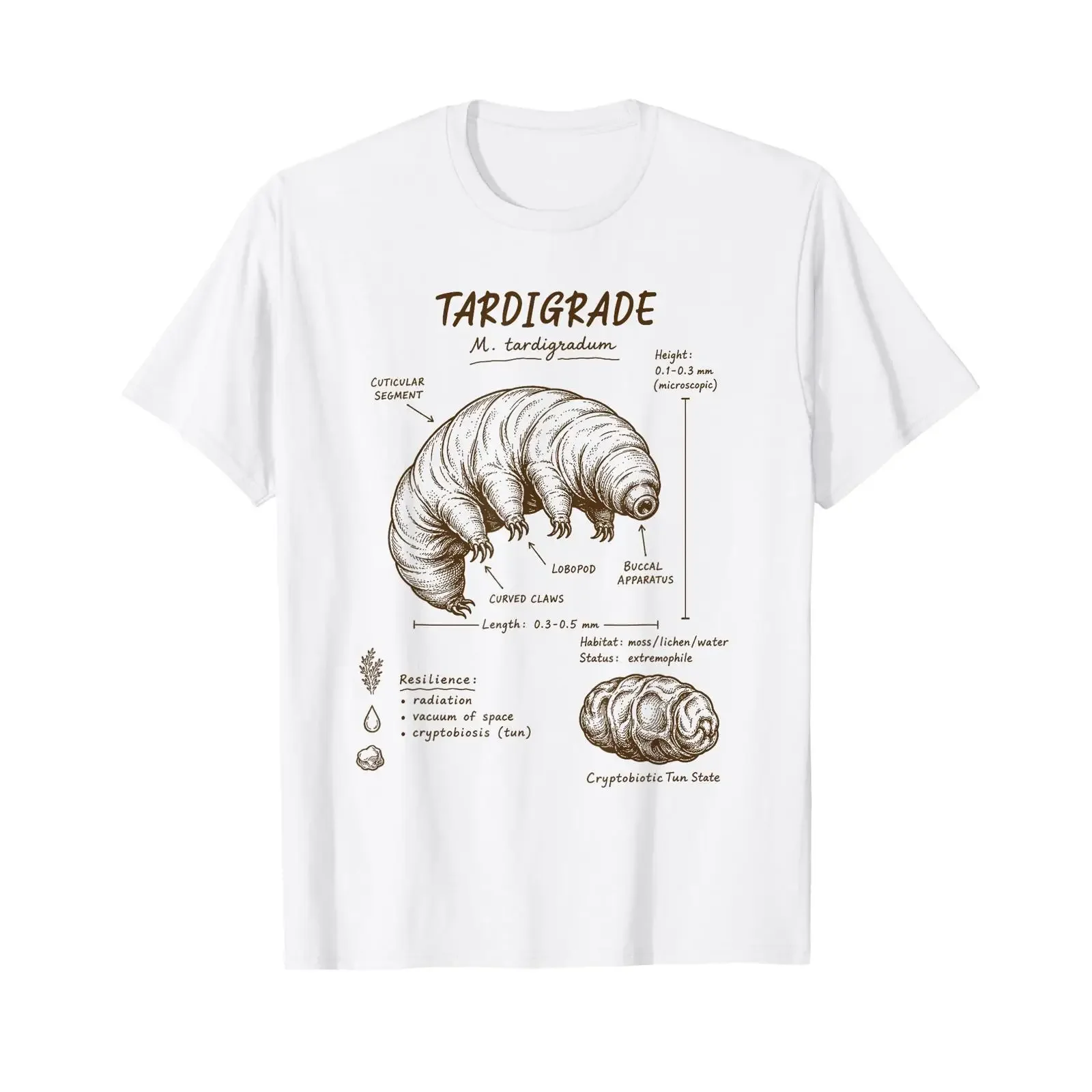 Tardigrade Anatomy Lover Water Bear Science T Shirt vintage Washed fashion homme Stylish designer clothes Versatile Slightly