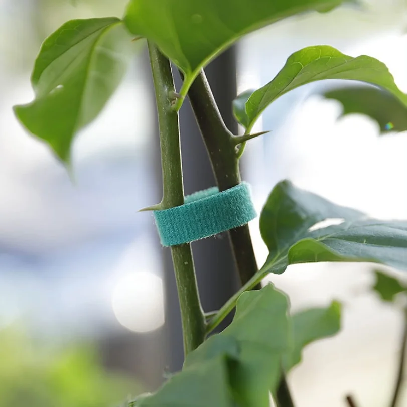 Garden Strap Plant Strap Plant Fixed Branch Strap Forest Branch Strap Winding Line Gardne Tool Supplies Garden Plant Supplies