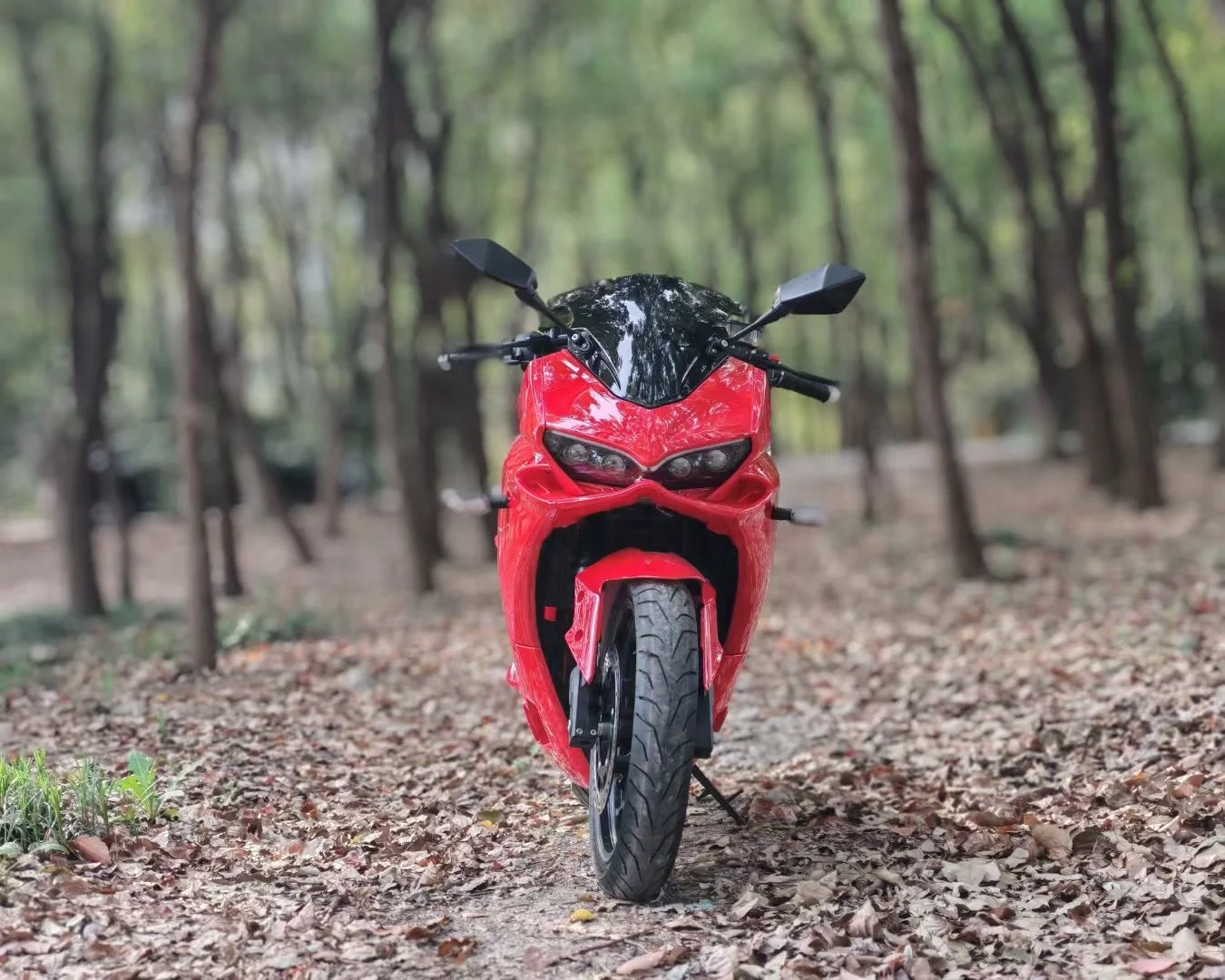 XDSS 2 Wheel  8000W Powerful Central Motor Electric Motorcycle for Sale