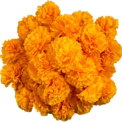 Marigold Flower Heads for Diwali Home Decor DIY Wreath Garland Craft Wedding Party Decoration Halloween Decor