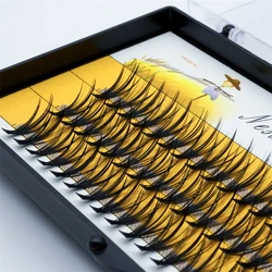1 박스 60 속눈썹, 20D/30D 자연 클러스터 속눈썹 확장, 3D 러시아 롤 개인 속눈썹 Cilia